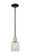 Arcadia One Light Mini Pendant in Black Antique Brass (405|716-1S-BAB-G2511)