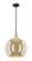 Arcadia One Light Mini Pendant in Black Antique Brass (405|716-1S-BAB-G128-14)