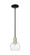 Arcadia One Light Mini Pendant in Black Antique Brass (405|716-1S-BAB-G122-6)