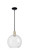 Arcadia One Light Mini Pendant in Black Antique Brass (405|716-1S-BAB-G122-12)