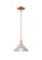 Arcadia One Light Mini Pendant in Antique Copper (405|716-1S-AC-G132)