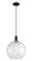 Arcadia One Light Mini Pendant in Matte Black (405|716-1P-BK-G1215-12)