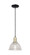 Arcadia One Light Mini Pendant in Black Antique Brass (405|716-1P-BAB-G422)