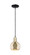 Arcadia One Light Mini Pendant in Black Antique Brass (405|716-1P-BAB-G128-6)