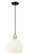 Arcadia One Light Mini Pendant in Black Antique Brass (405|716-1P-BAB-G1217-10WV)