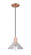 Arcadia One Light Mini Pendant in Antique Copper (405|716-1P-AC-G132)