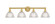 Edison Four Light Bath Vanity in Satin Gold (405|616-4W-SG-G422)