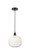 Edison One Light Mini Pendant in Oil Rubbed Bronze (405|616-1P-OB-G481-10OP)