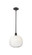 Ballston One Light Mini Pendant in Oil Rubbed Bronze (405|516-1S-OB-G481-10OP)