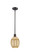 Ballston One Light Mini Pendant in Oil Rubbed Bronze (405|516-1S-OB-G459-6ME)