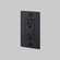 Duplex Outlet in Black (576|NSC-023807)