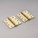 Door Hinge in Brass (576|NHG-051856)