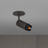 LED Spotlight in Black (576|NEIG-943973)