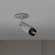 LED Spotlight in Black (576|NEIG-223981)