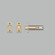 Privacy Bolt in Brass (576|NDT-051727)