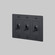 Light Switch in Black (576|NTK-024396)