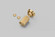 Detail Kit in Brass (576|NDK-054522)