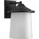 Essential One Light Wall Lantern in Black (54|P6060-31)