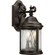Ashmore Two Light Wall Lantern in Antique Bronze (54|P5649-20)
