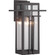Boxwood One Light Wall Lantern in Antique Bronze (54|P560112-020)