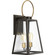 Barnett Two Light Wall Lantern in Antique Bronze (54|P560079-020)