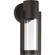 Z-1030 LED LED Wall Lantern in Antique Bronze (54|P560051-020-30)