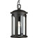 Gables One Light Hanging Lantern in Antique Bronze (54|P550050-020)