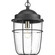 Holcombe One Light Hanging Lantern in Black (54|P550025-031)