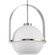 Delayne One Light Pendant in Brushed Nickel (54|P500359-009)
