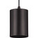 5IN CYL RNDS One Light Pendant in Antique Bronze (54|P500355-020)
