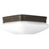 Appeal - Opal Two Light Flush Mount in Antique Bronze (54|P3549-20)