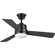 Trevina II 44'' Ceiling Fan in Black (54|P2555-3130K)