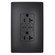radiant 65W Commercial USB Outlet, Type C, 20A, Tamper-Resistant in Black (246|TR20USBPD65BK)