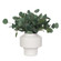 Essence Eucalyptus Vase in White (52|60257)