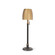 Spencer Table Lamp (515|2234-79)