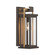 Lendel One Light Outdoor Wall Sconce in Twilight Bronze + Textured Gold (60|LDL-901-TZ-TG)
