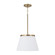 Drake One Light Pendant in Aged Brass (65|361011AD)