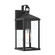 Cantley One Light Outdoor Wall Mount in Matte Black (54|P560405-31M)