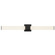 Vivi LED Wall Sconce in Black (347|WS36-018-BK)