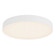 Rynn LED Flush Mount in White (347|FM7-286B-WH)