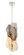 Grotto LED Pendant in Polished Nickel (40|50463-015)