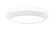 Quasars LED Flush Mount in Matte White (224|7701F16-MW-LED)