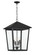 Noble Hill Four Light Outdoor Hanging Lantern in Sand Coal (7|72137-66)