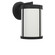 Luning One Light Lantern in Textured Black (1|GLO1091D-TXBE)