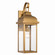 Madrid One Light Outdoor Wall Sconce in Weathered Brass (78|AC8180WB)