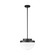 Dahlia One Light Pendant in Black (78|AC12010BK)