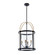 Verre incolore Four Light Pendant in Black and Brushed Brass (78|AC11515BB)