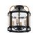 Bonita Four Light Flush Mount in Black and Brushed Brass (78|AC11513BB)