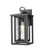 Ashland One Light Wall Sconce in Matte Black (405|9950-1W-BK-14-WG)