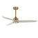 Woodwind 52'' Ceiling Fan in Natural Aged Brass (16|88831WTNABWWT)